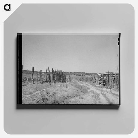 アートパネル-Chamisal, New Mexico
 - ラッセル リー Canvas.