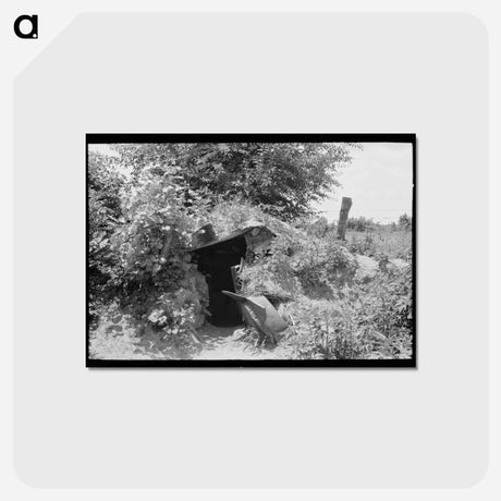 アートポストカード-Storm Cellar, Webber Falls
 - ラッセル リー Postcard.