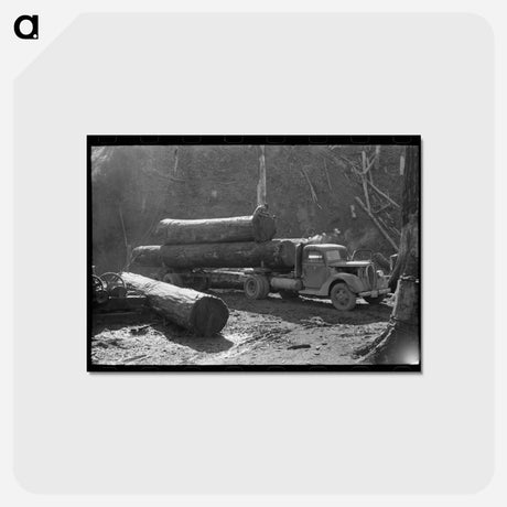 アートポストカード-Logs on Truck, Tillamook
 - ラッセル リー Postcard.