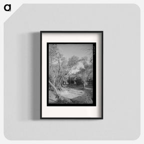 アートポスター-Road Through the Woods, Pie Town
 - ラッセル リー Poster.