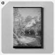 アートパネル-Road Through the Woods, Pie Town
 - ラッセル リー Canvas.