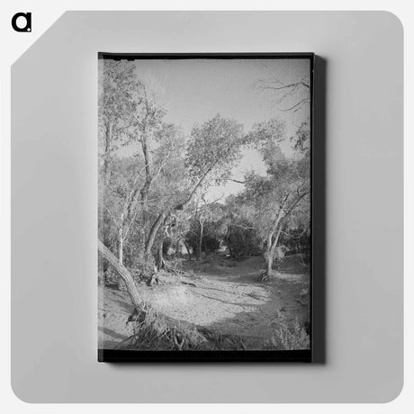 アートパネル-Road Through the Woods, Pie Town
 - ラッセル リー Canvas.