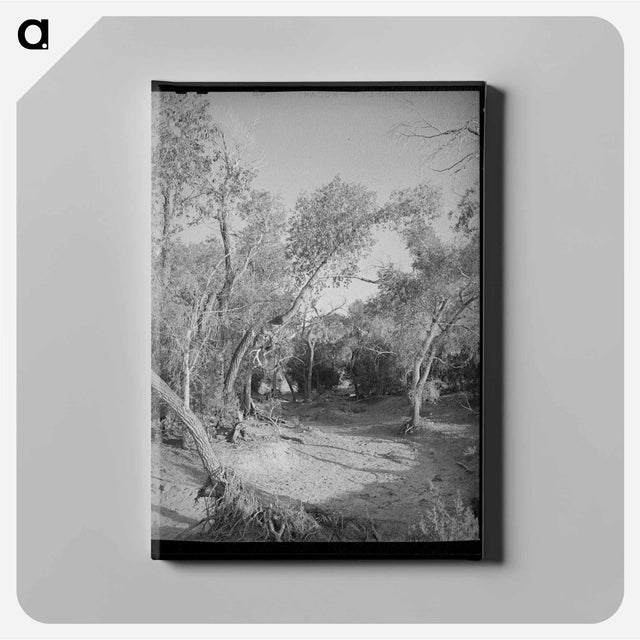 アートパネル-Road Through the Woods, Pie Town
 - ラッセル リー Canvas.