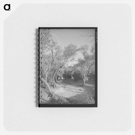 アートメモ帳-Road Through the Woods, Pie Town
 - ラッセル リー Memo.