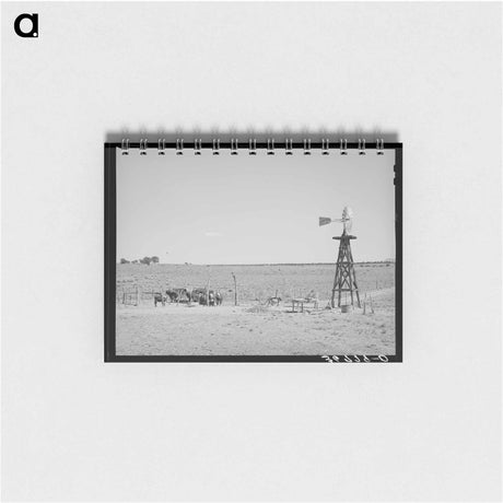 アートメモ帳-Beef Cattle and Windmill
 - ラッセル リー Memo.