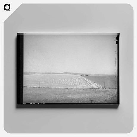 アートパネル-Wheat Field, Eureka Flats
 - ラッセル リー Canvas.