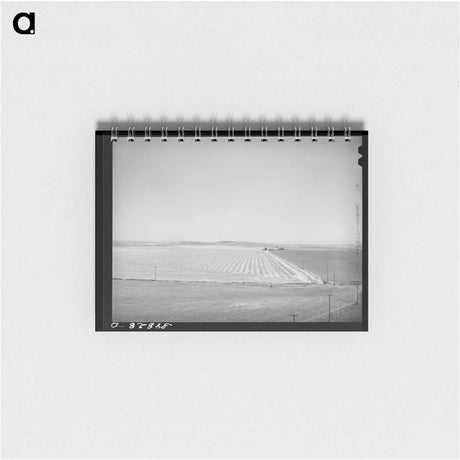 アートメモ帳-Wheat Field, Eureka Flats
 - ラッセル リー Memo.
