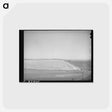 アートポストカード-Wheat Field, Eureka Flats
 - ラッセル リー Postcard.