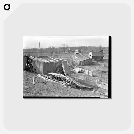 アートポストカード-Shawneetown Flood Damage
 - ラッセル リー Postcard.