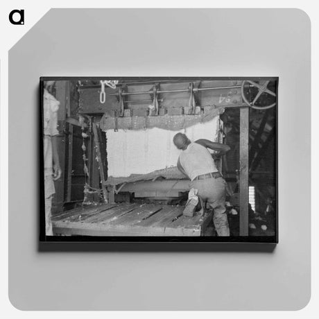 アートパネル-Strapping Cotton
 - ラッセル リー Canvas.