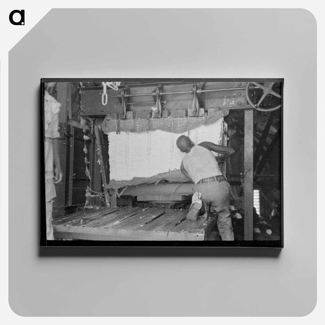 アートパネル-Strapping Cotton
 - ラッセル リー Canvas.