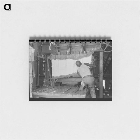 アートメモ帳-Strapping Cotton
 - ラッセル リー Memo.