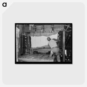 アートポストカード-Strapping Cotton
 - ラッセル リー Postcard.