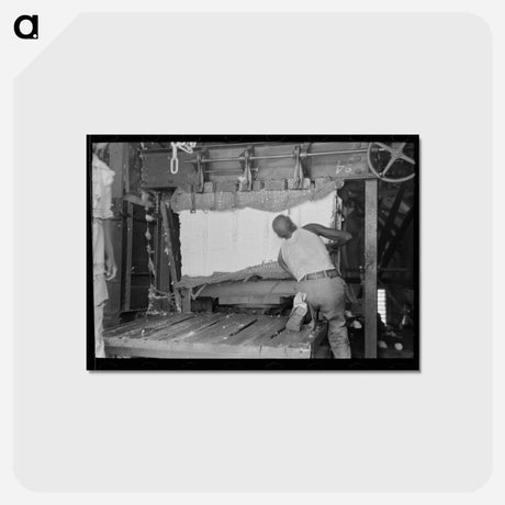アートポストカード-Strapping Cotton
 - ラッセル リー Postcard.