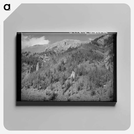 アートパネル-Telluride, Colorado
 - ラッセル リー Canvas.