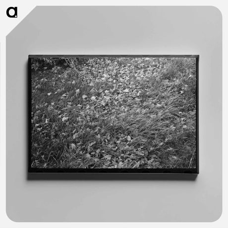 アートパネル-Early Fall, Berlin, Connecticut
 - ラッセル リー Canvas.