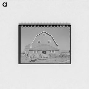 アートメモ帳-Hip Barn and Cattle
 - ラッセル リー Memo.