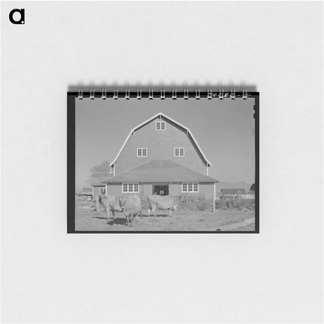 アートメモ帳-Hip Barn and Cattle
 - ラッセル リー Memo.