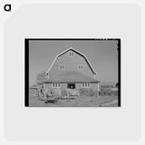 アートポストカード-Hip Barn and Cattle
 - ラッセル リー Postcard.