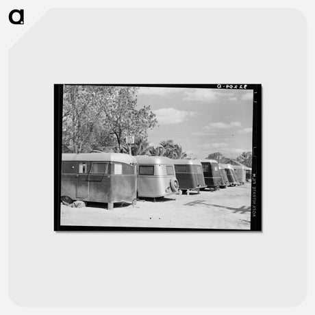 アートポストカード-Trailer Camp, McAllen
 - ラッセル リー Postcard.