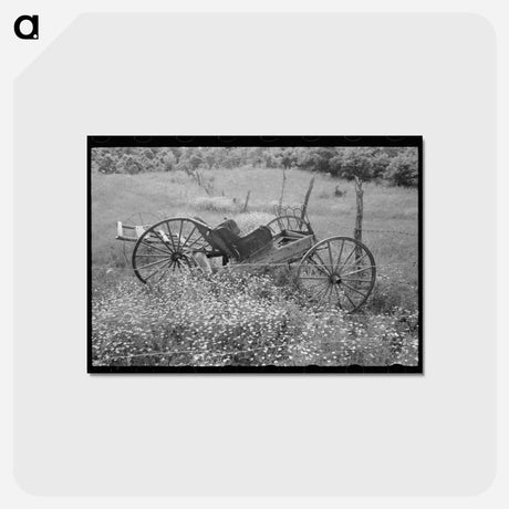 アートポストカード-Daisies Near Vian
 - ラッセル リー Postcard.