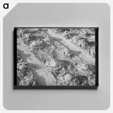 アートパネル-Rotting Lettuce, Canyon County
 - ラッセル リー Canvas.