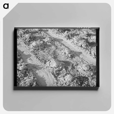 アートパネル-Rotting Lettuce, Canyon County
 - ラッセル リー Canvas.