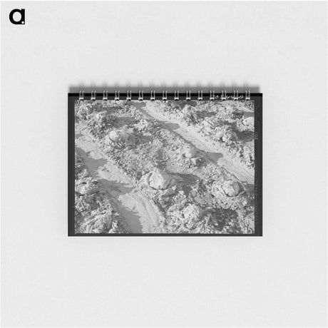 アートメモ帳-Rotting Lettuce, Canyon County
 - ラッセル リー Memo.