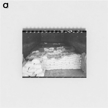 アートメモ帳-Flour Freight
 - ラッセル リー Memo.