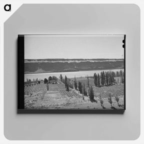 アートパネル-Farm along Columbia River
 - ラッセル リー Canvas.