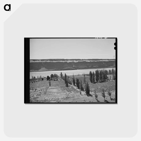 アートポストカード-Farm along Columbia River
 - ラッセル リー Postcard.