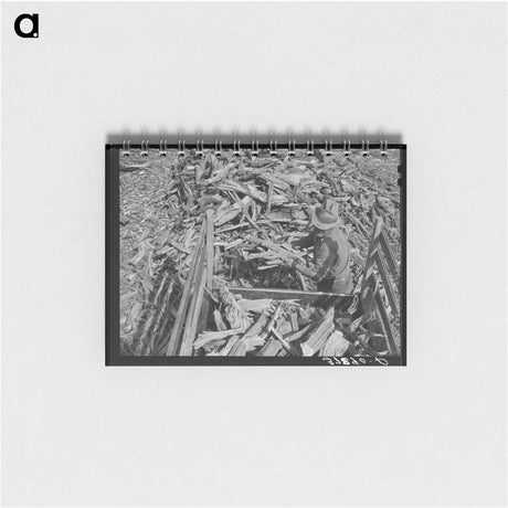 アートメモ帳-Loading Wood, Concho
 - ラッセル リー Memo.