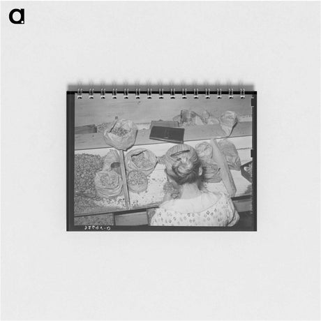 アートメモ帳-Pecan Shelling Plant
 - ラッセル リー Memo.