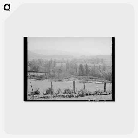 アートポストカード-Tillamook County Dairying
 - ラッセル リー Postcard.