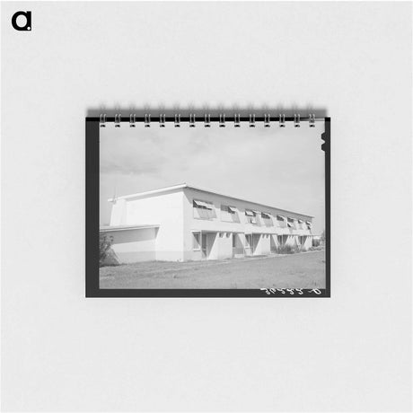 アートメモ帳-Arizona Part-Time Farms
 - ラッセル リー Memo.