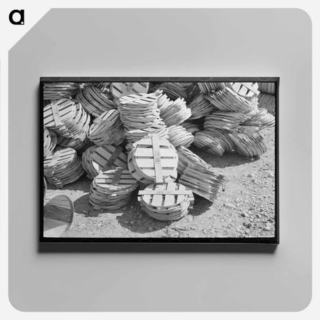アートパネル-Tops for Spinach Baskets
 - ラッセル リー Canvas.