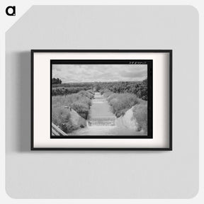 アートポスター-Lateral Irrigation Ditch in Orchard
 - ラッセル リー Poster.