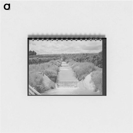 アートメモ帳-Lateral Irrigation Ditch in Orchard
 - ラッセル リー Memo.