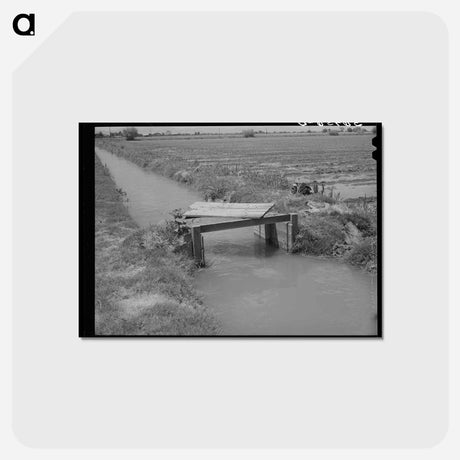 アートポストカード-Irrigation Ditch, Solomonsville
 - ラッセル リー Postcard.