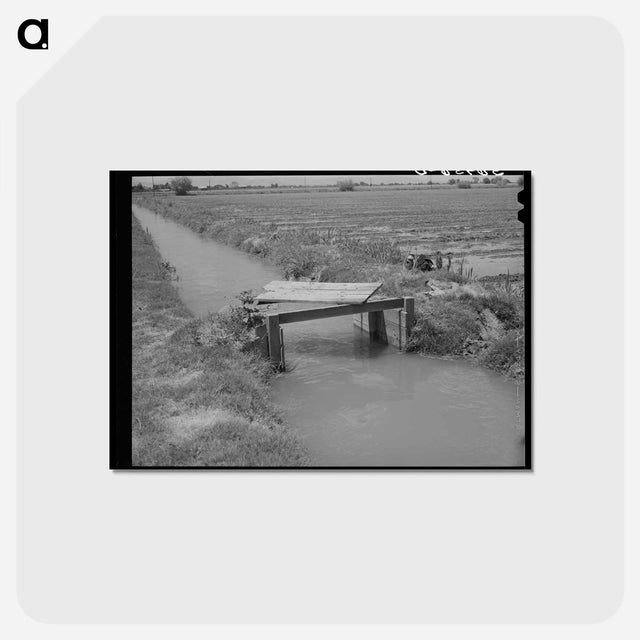 アートポストカード-Irrigation Ditch, Solomonsville
 - ラッセル リー Postcard.