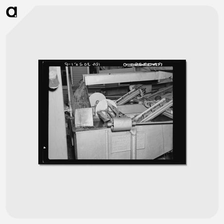 アートポストカード-Pea Washing Machine
 - ラッセル リー Postcard.
