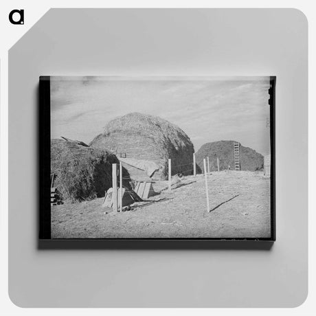 アートパネル-Black Canyon Hay
 - ラッセル リー Canvas.
