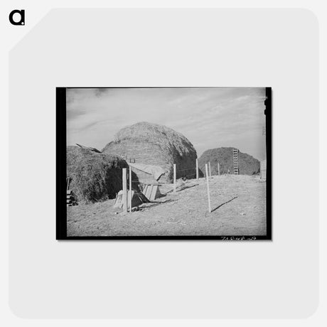アートポストカード-Black Canyon Hay
 - ラッセル リー Postcard.