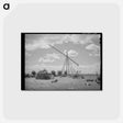 アートポストカード-Vale-Owyhee Irrigation Project
 - ラッセル リー Postcard.