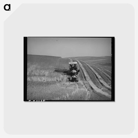 アートポストカード-Caterpillar Combine, Whitman County
 - ラッセル リー Postcard.