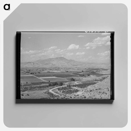 アートパネル-Emmett Cherry Orchards
 - ラッセル リー Canvas.