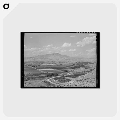 アートポストカード-Emmett Cherry Orchards
 - ラッセル リー Postcard.