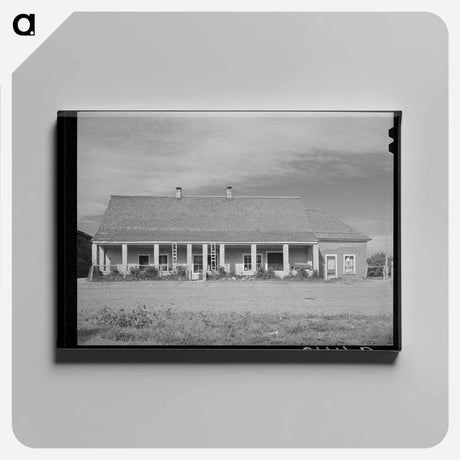 アートパネル-Home of Merchant, Concho, Arizona
 - ラッセル リー Canvas.