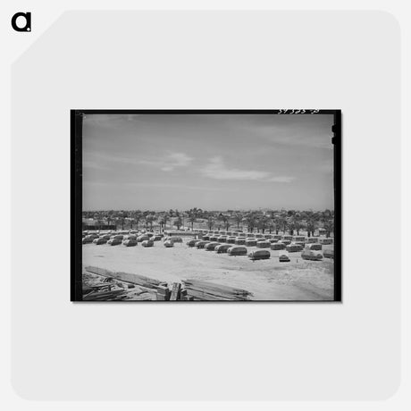 アートポストカード-FSA Trailer Camp
 - ラッセル リー Postcard.
