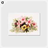 アートポストカード-Spring Blossoms
 - ボストン公共図書館 Postcard.